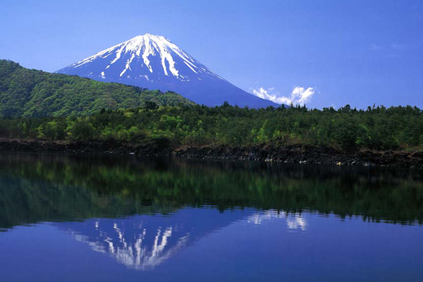 aokigahara mt fuji