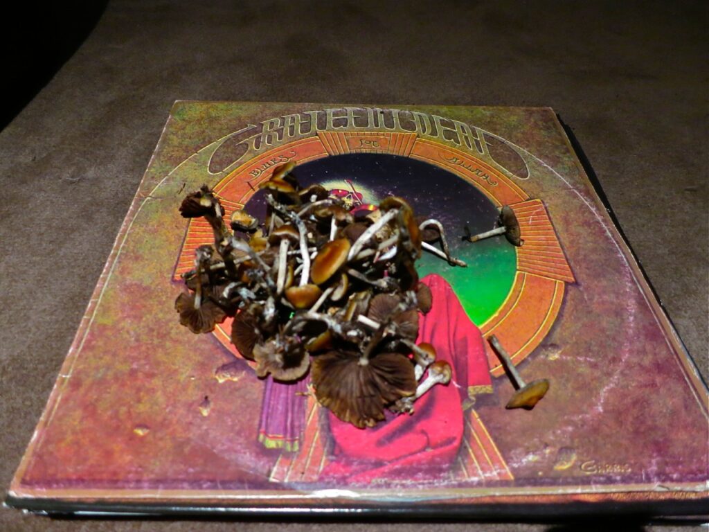 magic mushrooms on grateful dead blues for allah lp vinyl